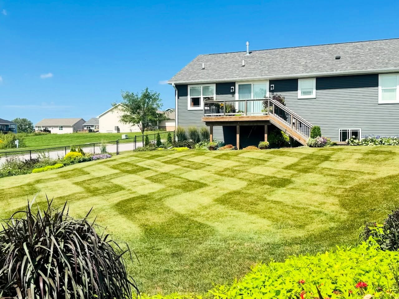Freshly striped lawn by Boersma Lawn Care